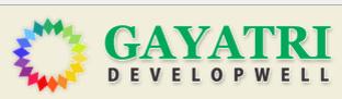 Developer Logo