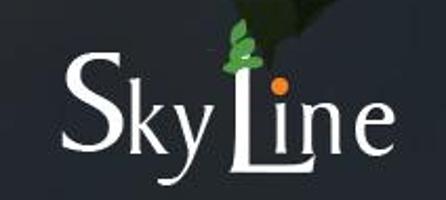Developer Logo