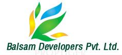 Developer Logo