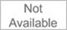 Developer Logo