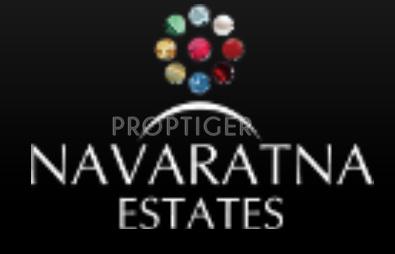 Developer Logo