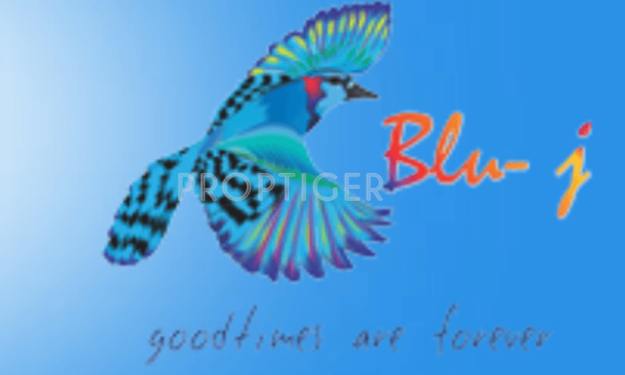 Developer Logo