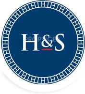 Developer Logo