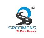 Developer Logo