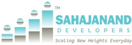 Developer Logo