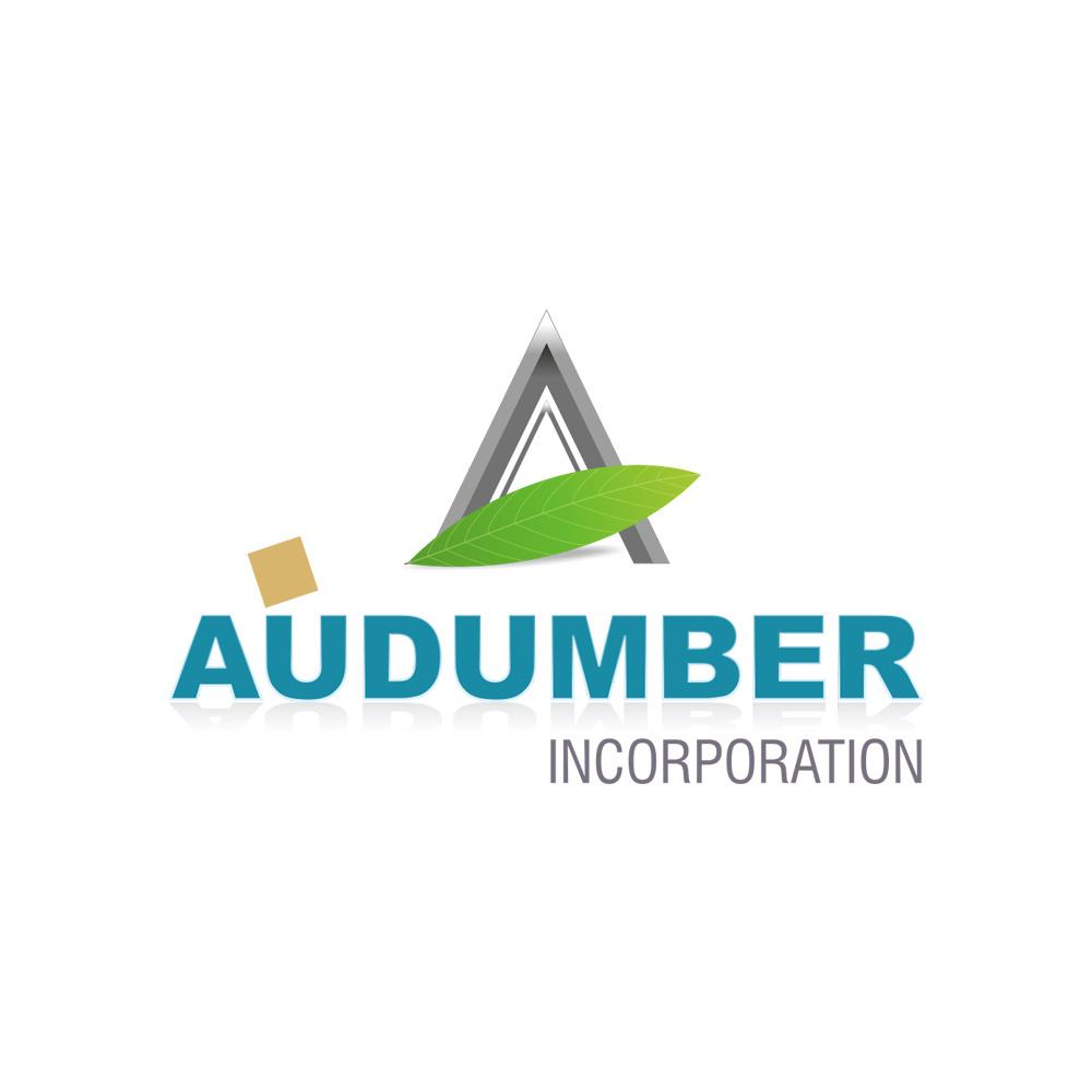 Developer Logo