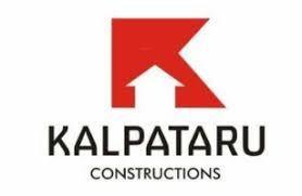 Developer Logo