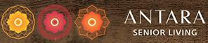Developer Logo