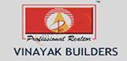 Developer Logo