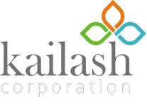 Developer Logo
