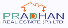 Developer Logo