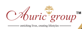 Developer Logo