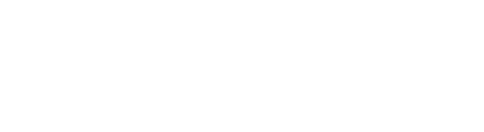 Developer Logo