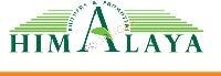 Developer Logo
