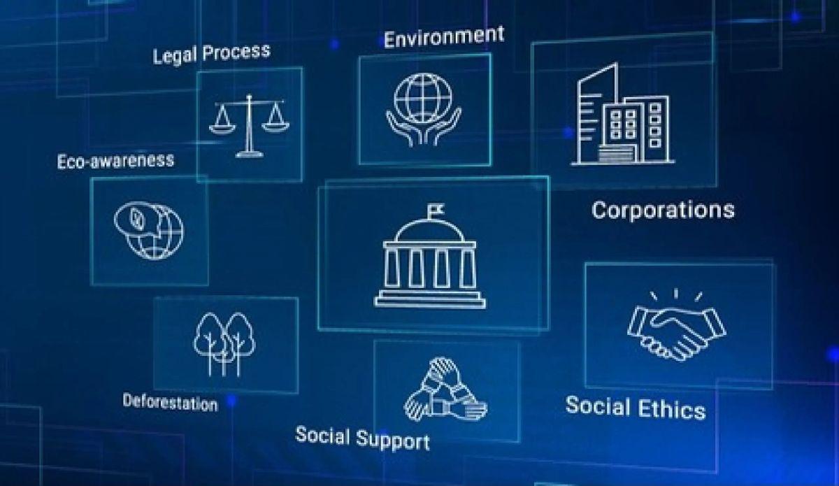 Investor banner Image